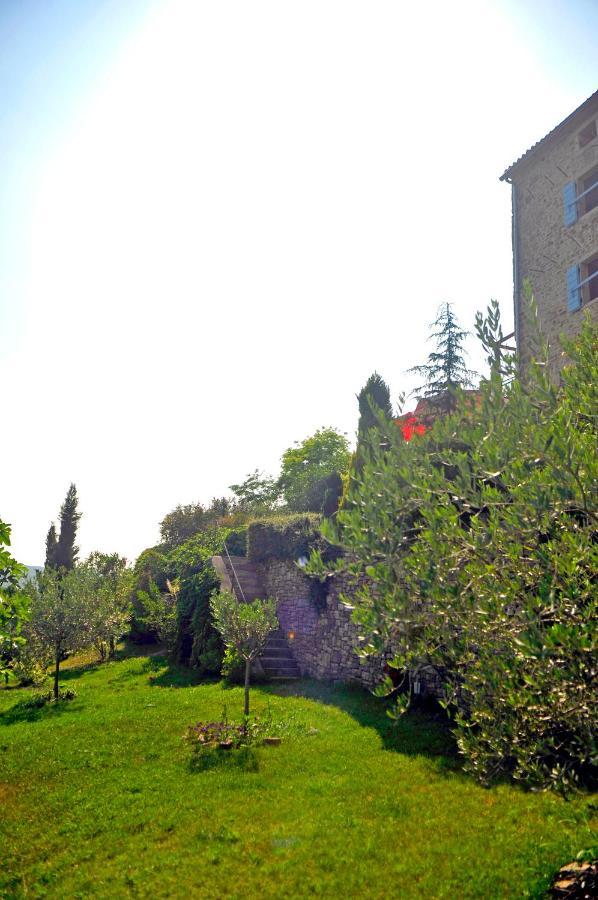 Ruine-Motovun Kh Villa Eksteriør billede